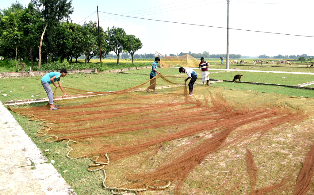 দিনের ছবি (৭ নভেম্বর ২০২৫)