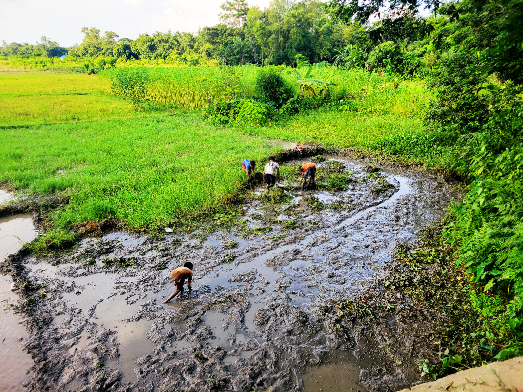 দিনের ছবি (২০ আগস্ট, ২০২৬)