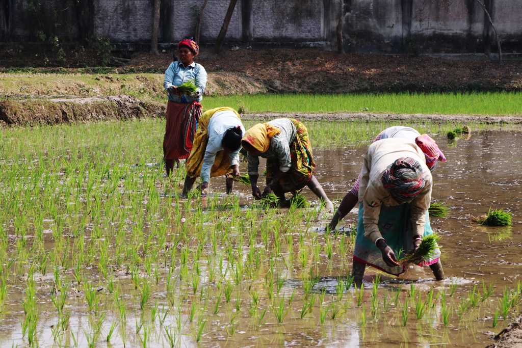 দিনের ছবি (২৭ ফেব্রুয়ারি, ২০২৬)