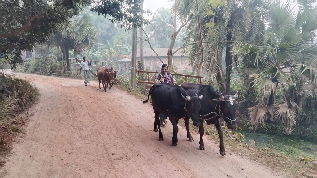 দিনের ছবি (৩ নভেম্বর ২০২৫)