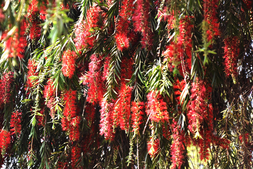 দিনের ছবি (০৭ মার্চ ২০২৬)