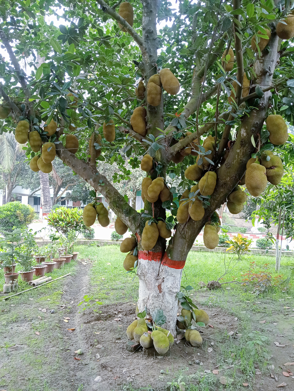 দিনের ছবি (১৬ মে, ২০২৬)