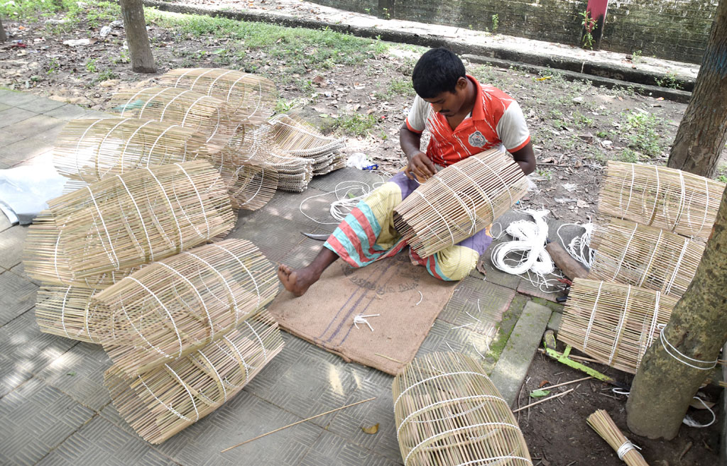 দিনের ছবি (১১ আগস্ট, ২০২৬)
