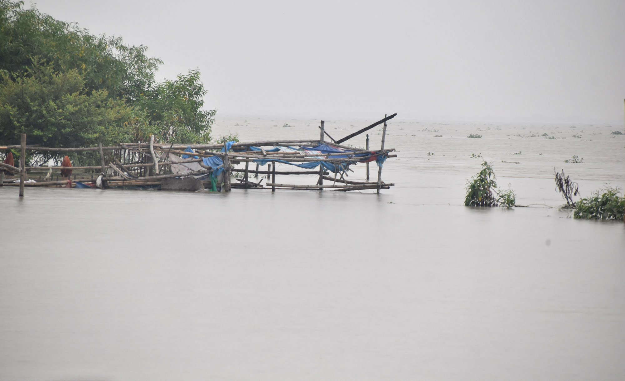 দিনের ছবি (৮ সেপ্টেম্বর, ২০২৬)
