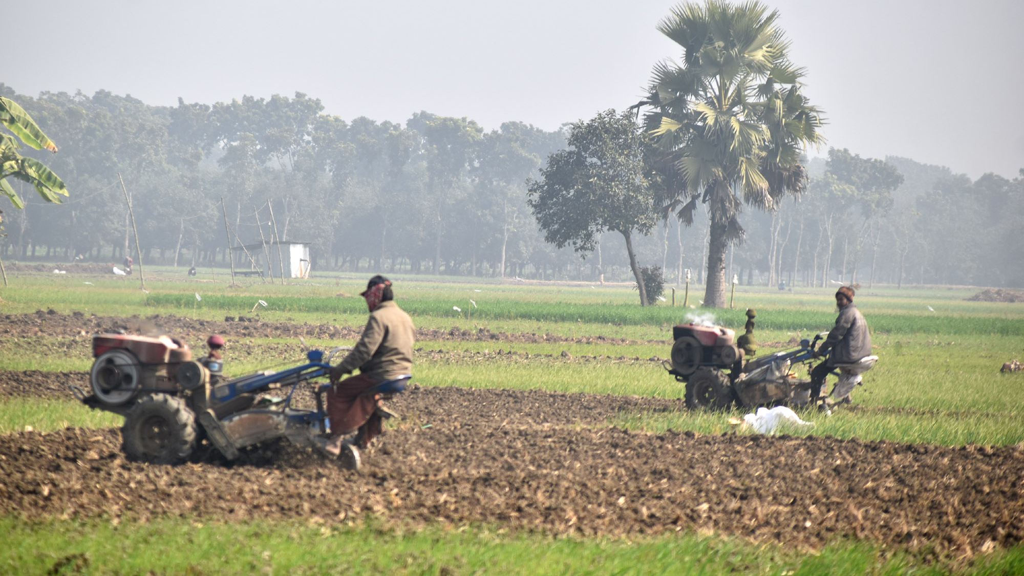 দিনের ছবি (১৫ জানুয়ারি, ২০২৬)