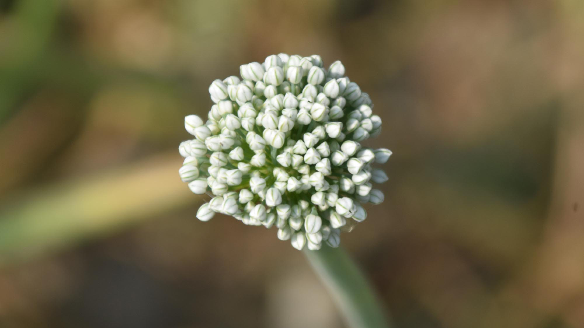 দিনের ছবি (২০ ফেব্রুয়ারি, ২০২৬)