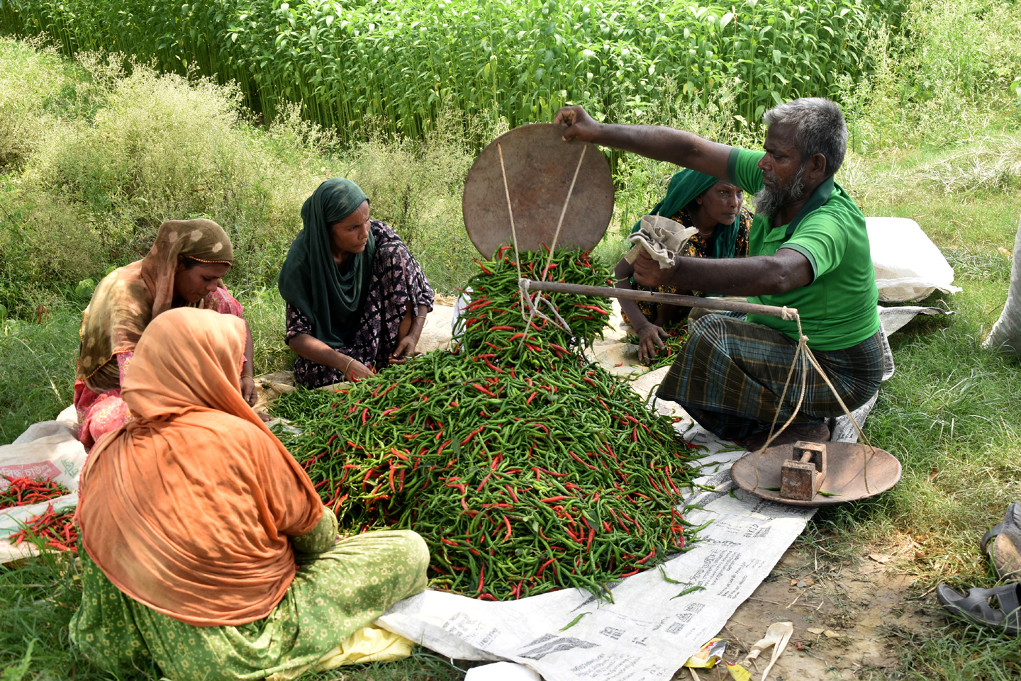 দিনের ছবি (২৬ জুন, ২০২৬)