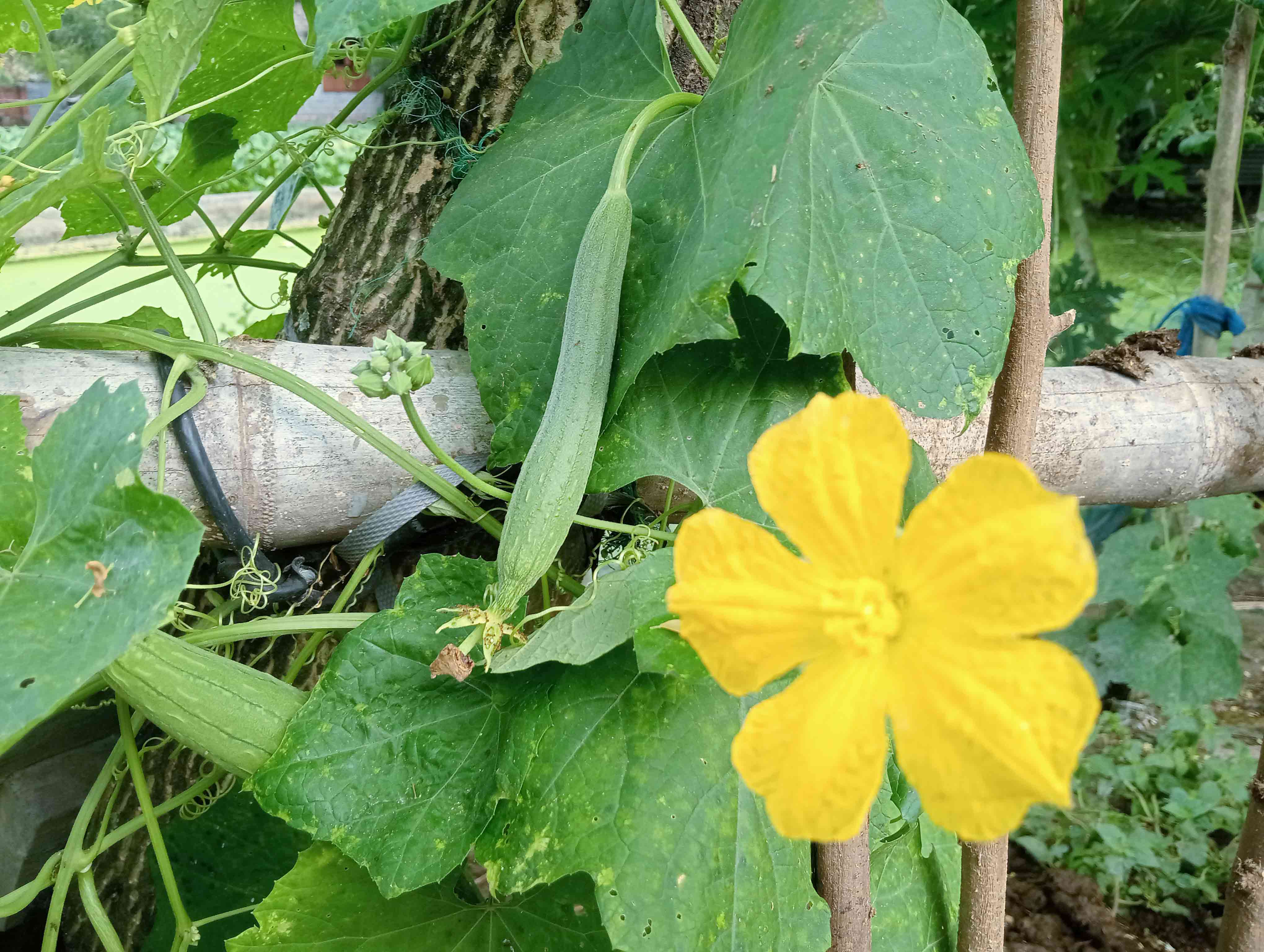 দিনের ছবি (২৩ সেপ্টেম্বর, ২০২৬)