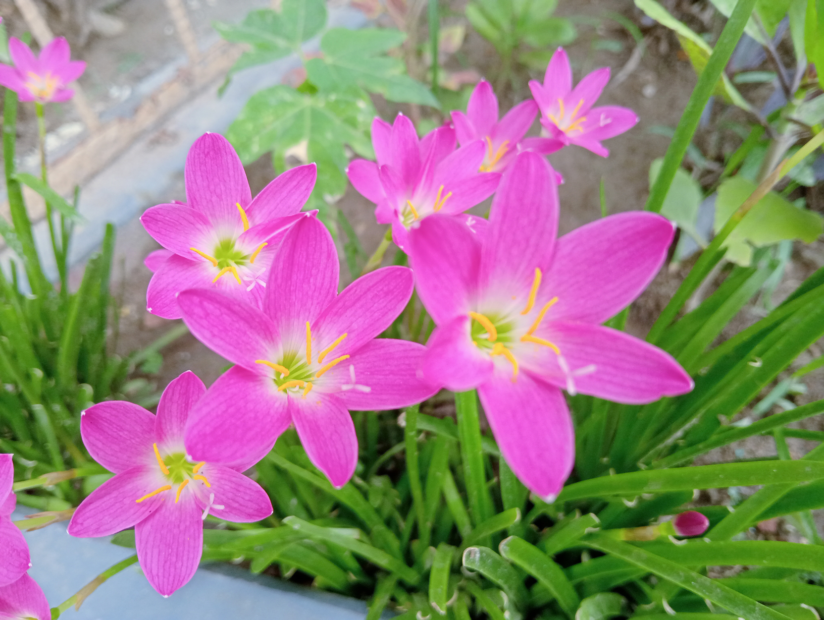 দিনের ছবি (১৭ জুলাই, ২০২৬)