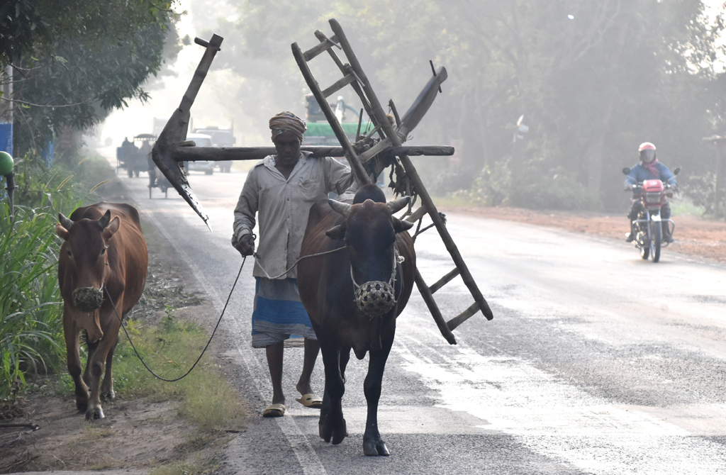 দিনের ছবি (১৬ নভেম্বর, ২০২৫)
