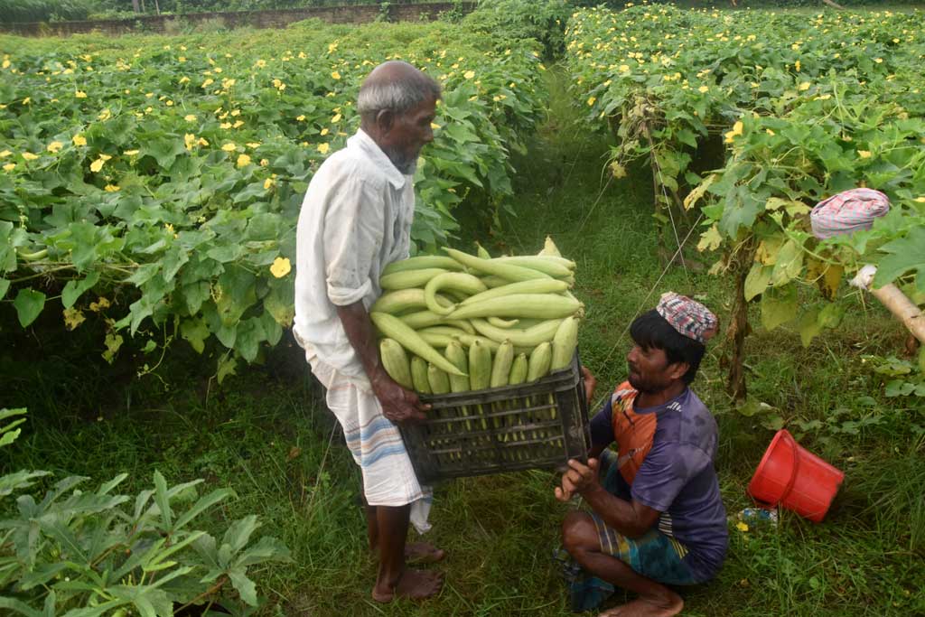 দিনের ছবি (২৫ আগস্ট, ২০২৬)