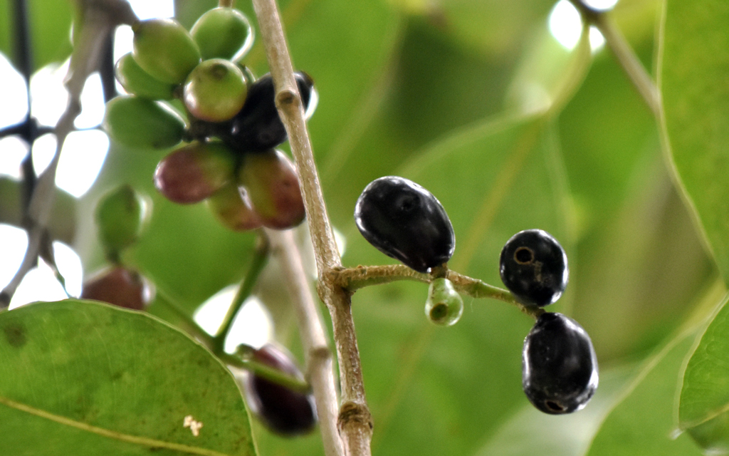 দিনের ছবি (২৩ মে, ২০২৬)