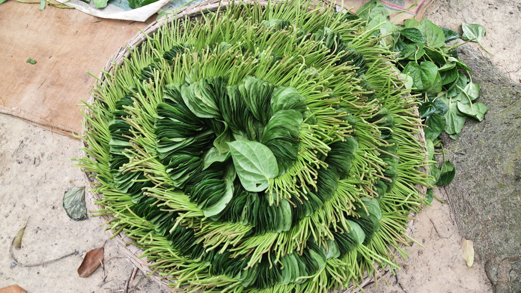 দিনের ছবি (৬ জুন, ২০২৬)