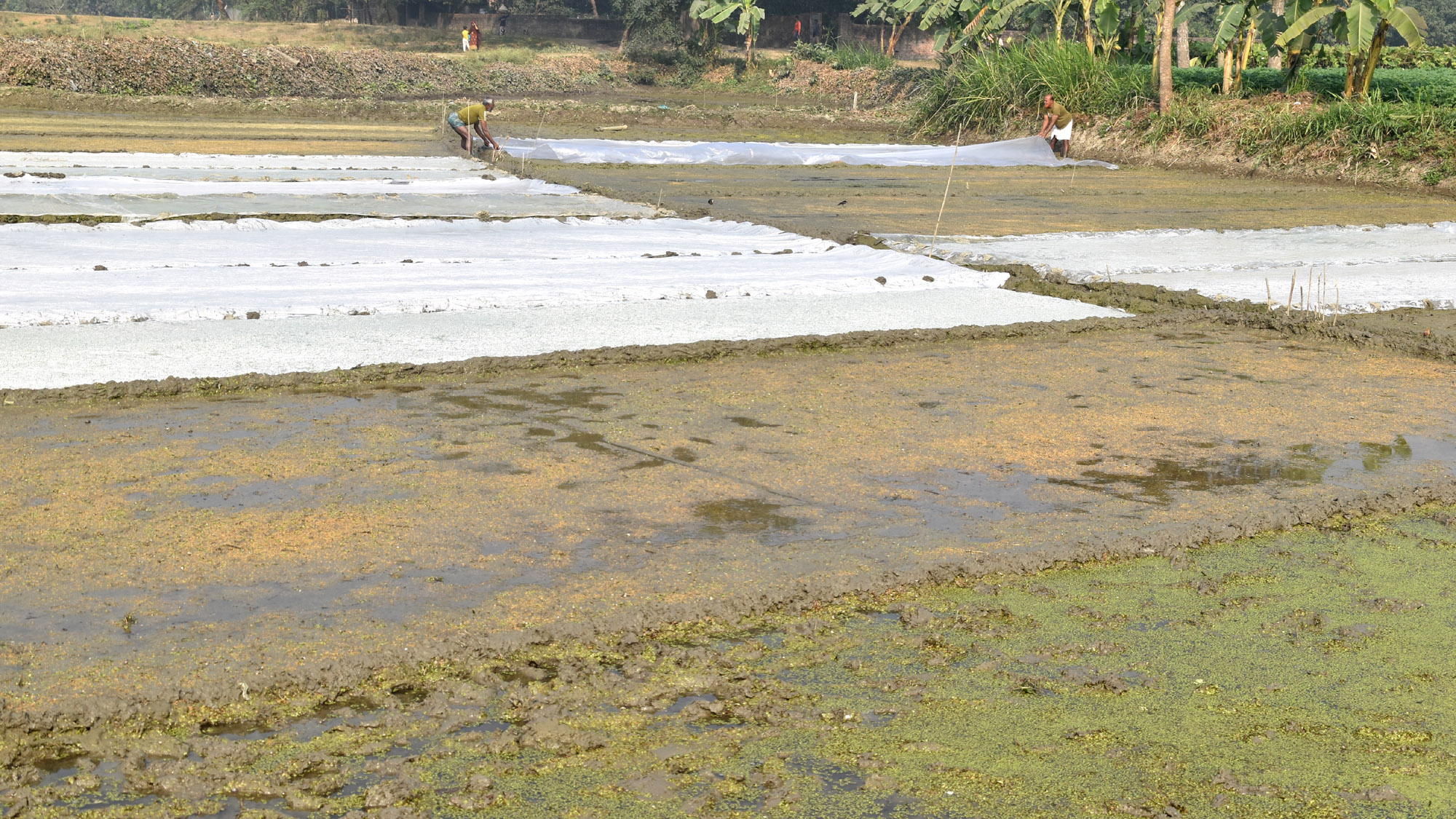 দিনের ছবি (২২ জানুয়ারি, ২০২৬)