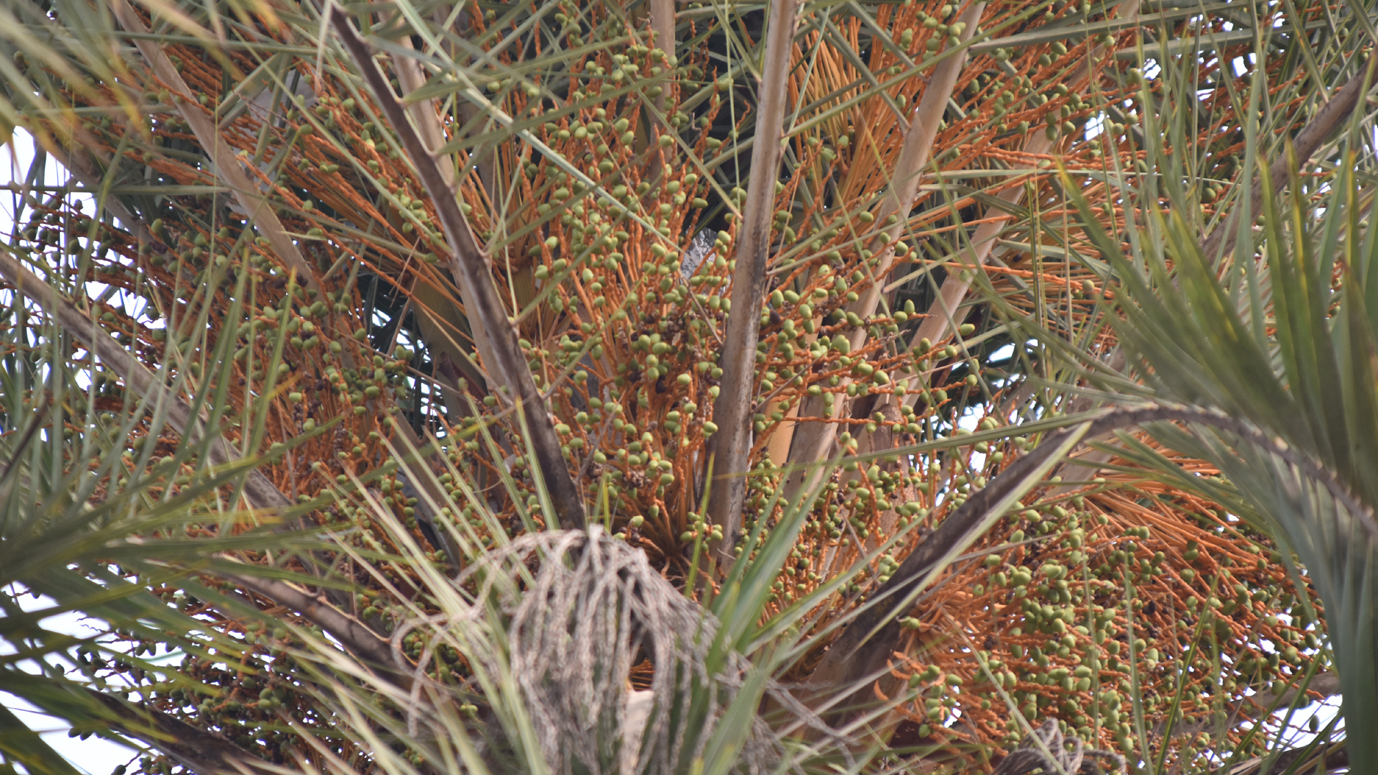 দিনের ছবি (১৩ মার্চ ২০২৬)