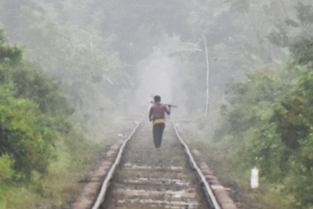 দিনের ছবি (৩১ অক্টোবর, ২০২৫)