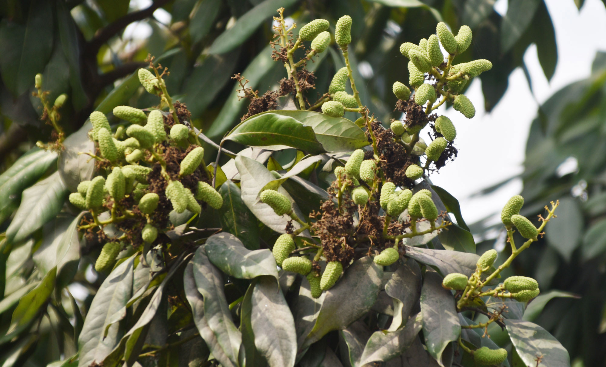 দিনের ছবি (৫ এপ্রিল, ২০২৬)
