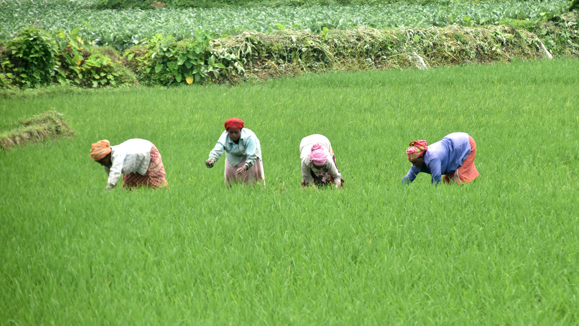 দিনের ছবি (২৩ আগস্ট, ২০২৬)