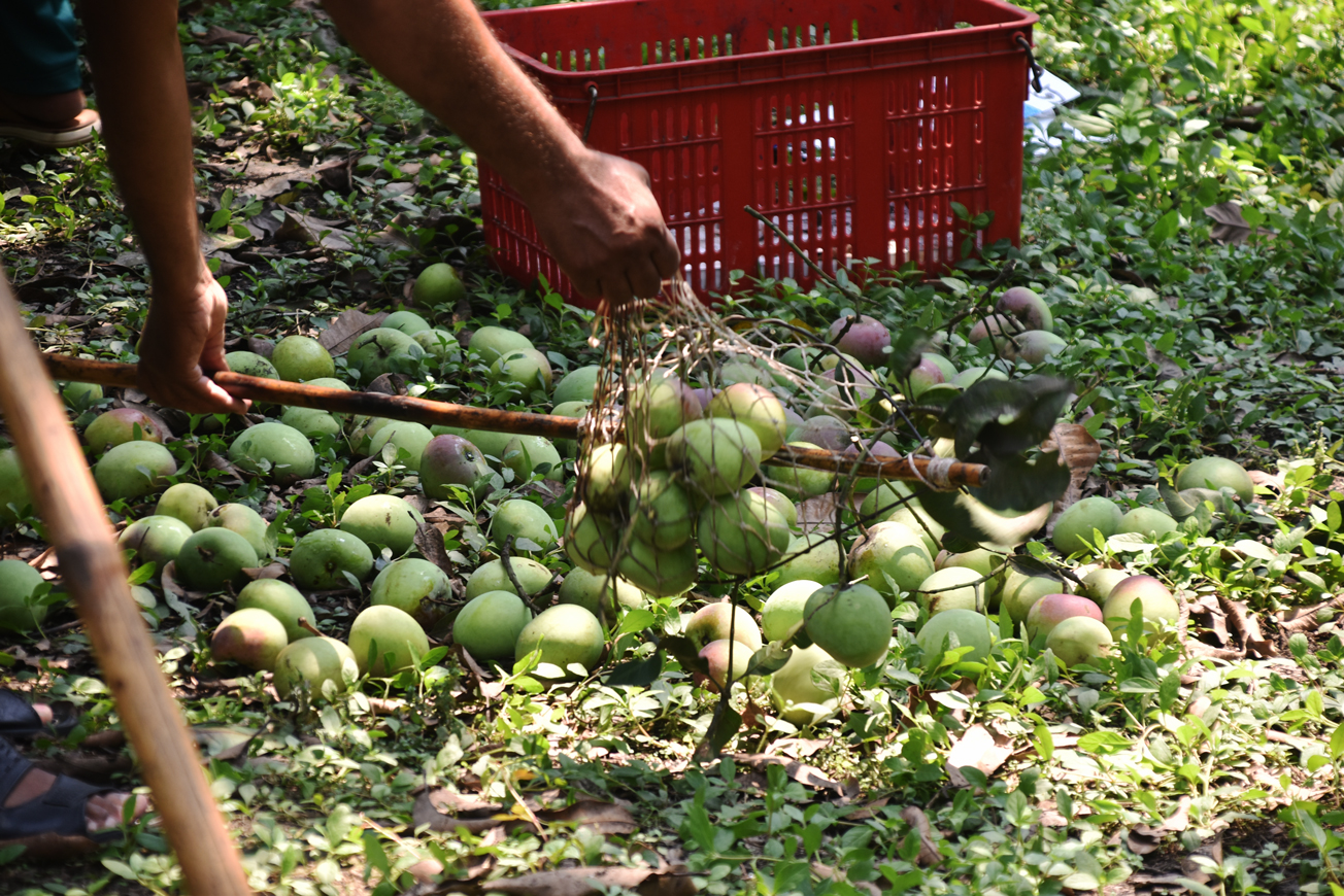 দিনের ছবি (১৫ মে, ২০২৬)