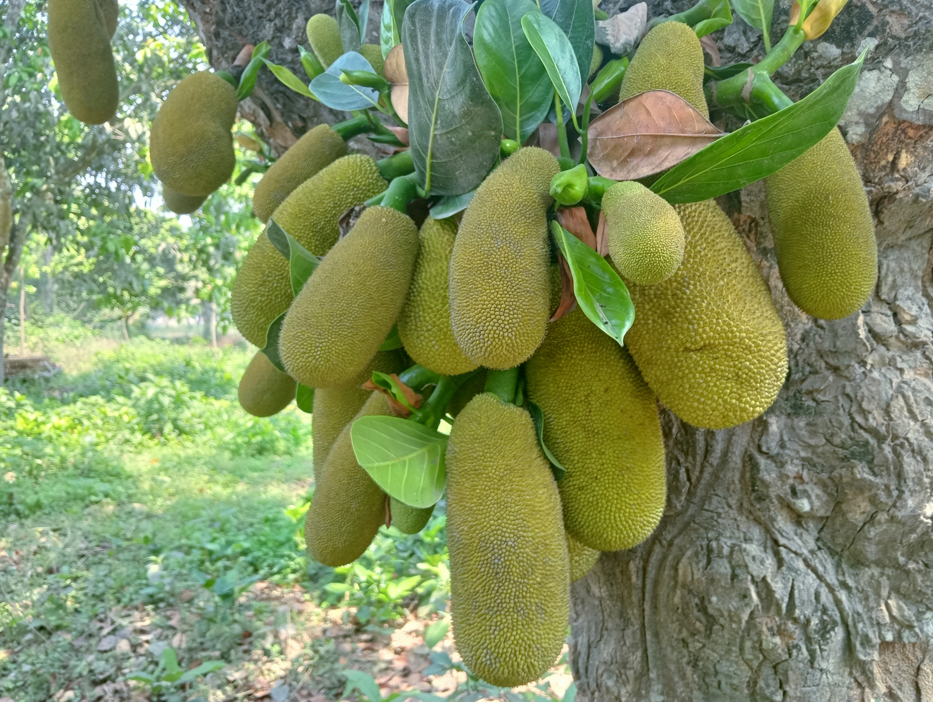 দিনের ছবি (২৭ মার্চ, ২০২৬)