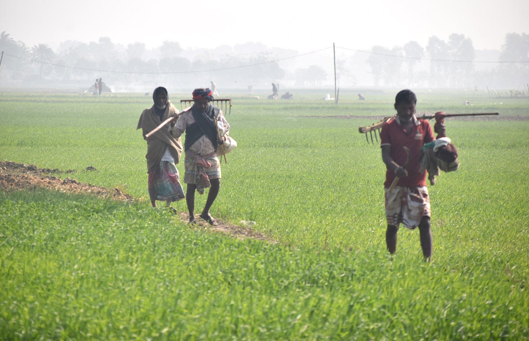 দিনের ছবি (১২ জানুয়ারি, ২০২৬)