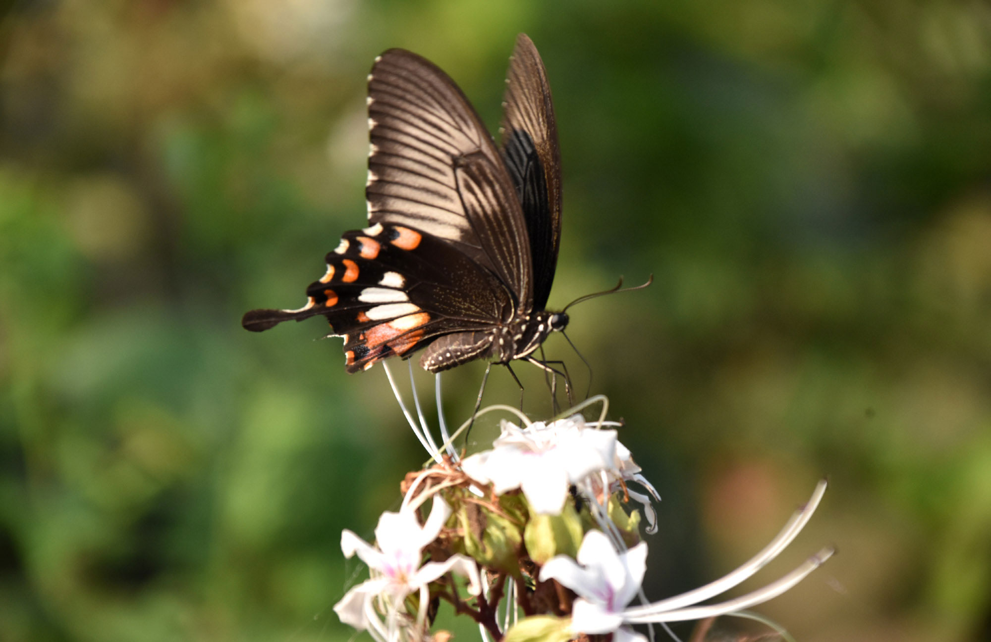 দিনের ছবি (৭ এপ্রিল, ২০২৬)