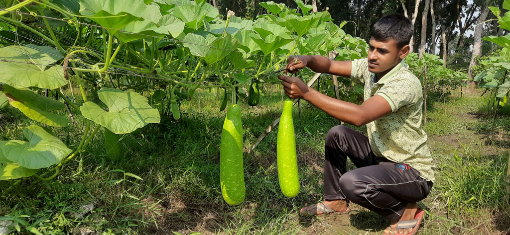 দিনের ছবি (১০ নভেম্বর ২০২৫)