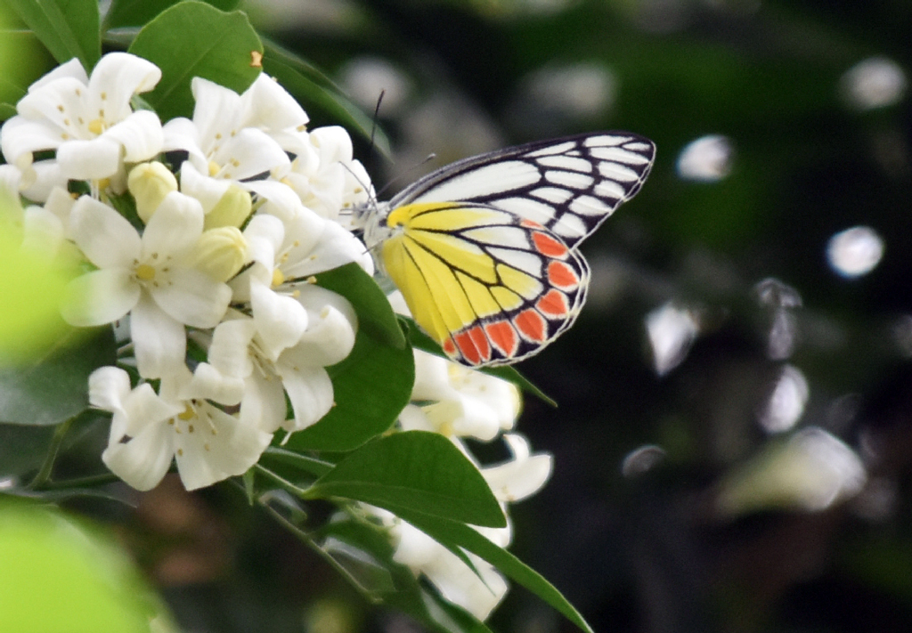 দিনের ছবি (১১ জুলাই, ২০২৬)