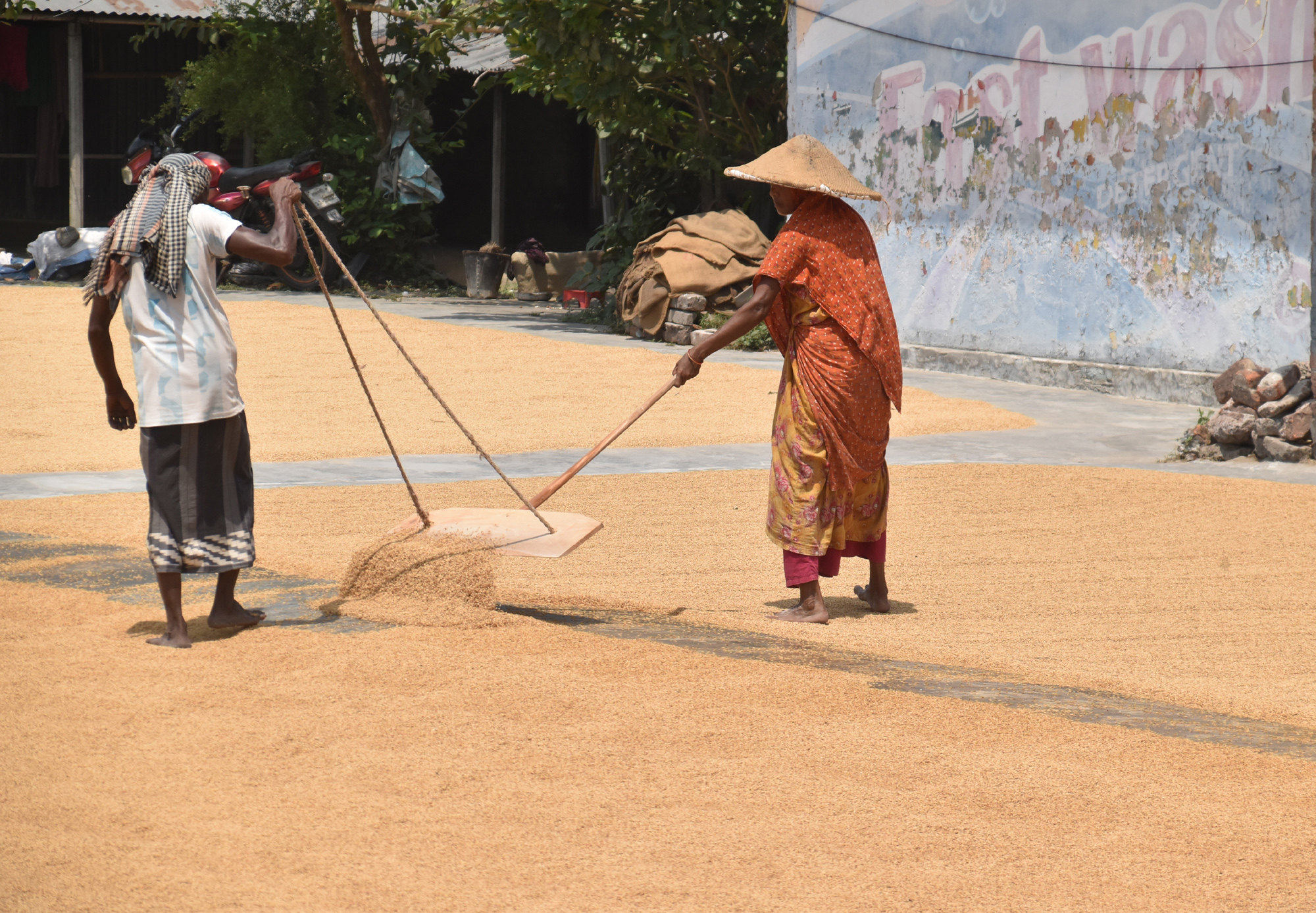 দিনের ছবি (১৬ এপ্রিল, ২০২৬)