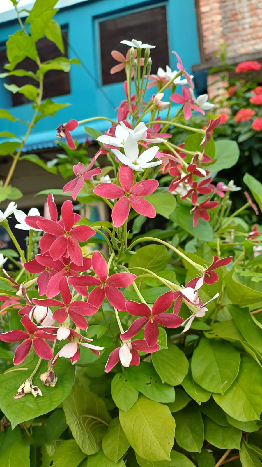 দিনের ছবি (৫ আগস্ট, ২০২৫)