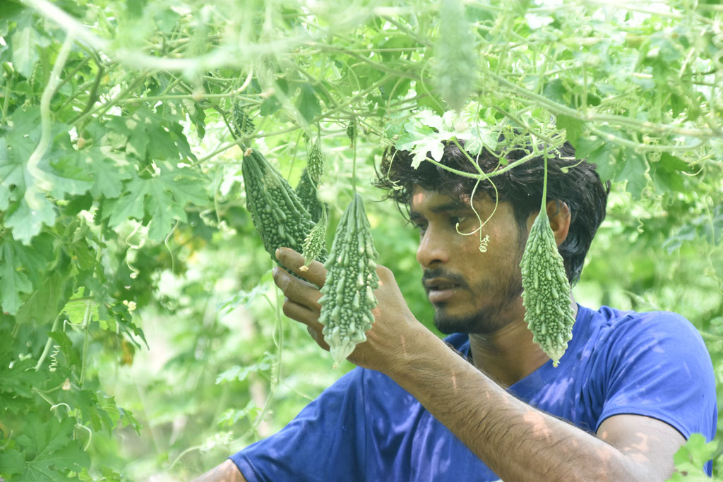 দিনের ছবি (৭ জুন, ২০২৬)