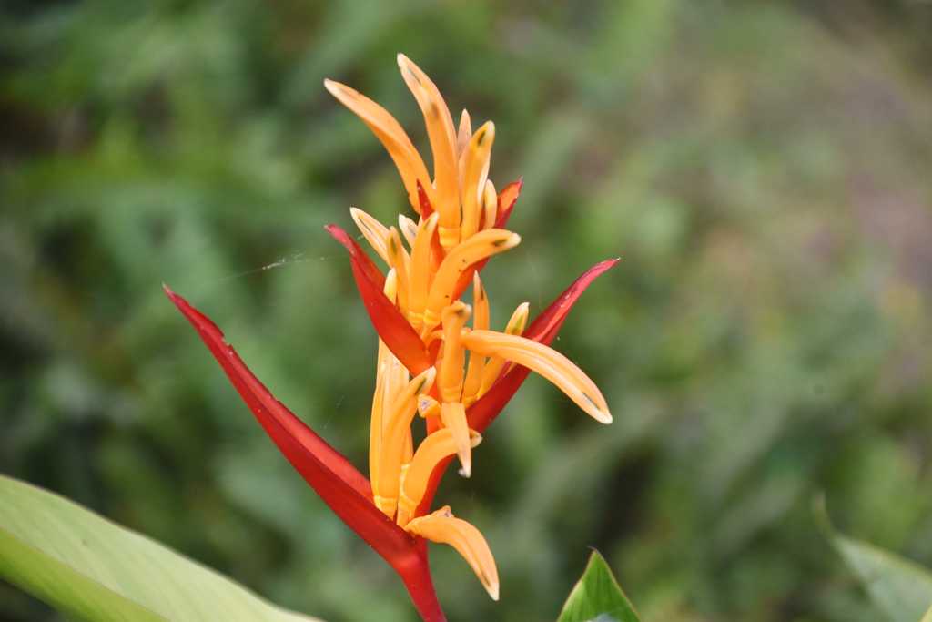 দিনের ছবি (৮ নভেম্বর ২০২৫)