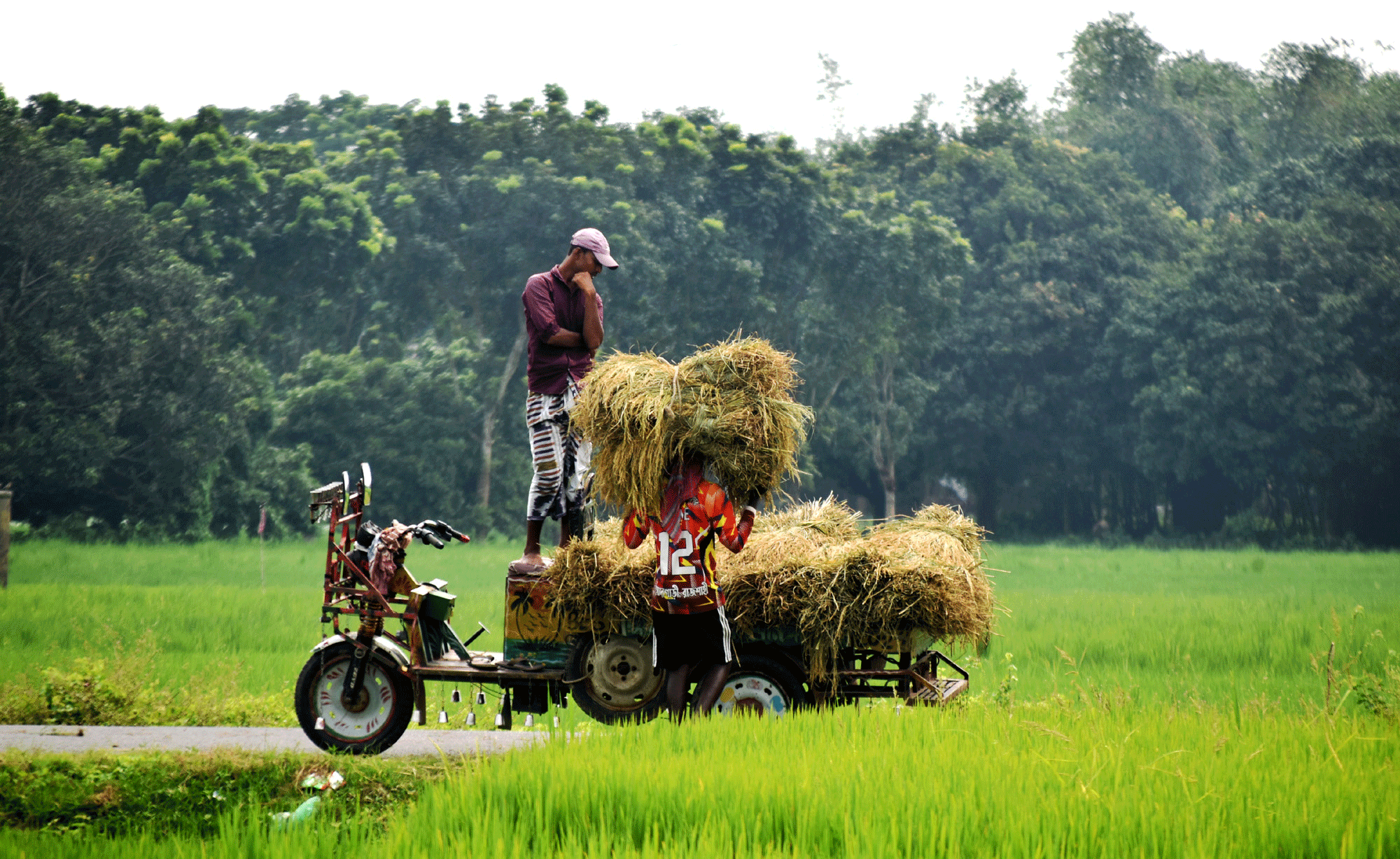 দিনের ছবি (০১ অক্টোবর, ২০২৬)