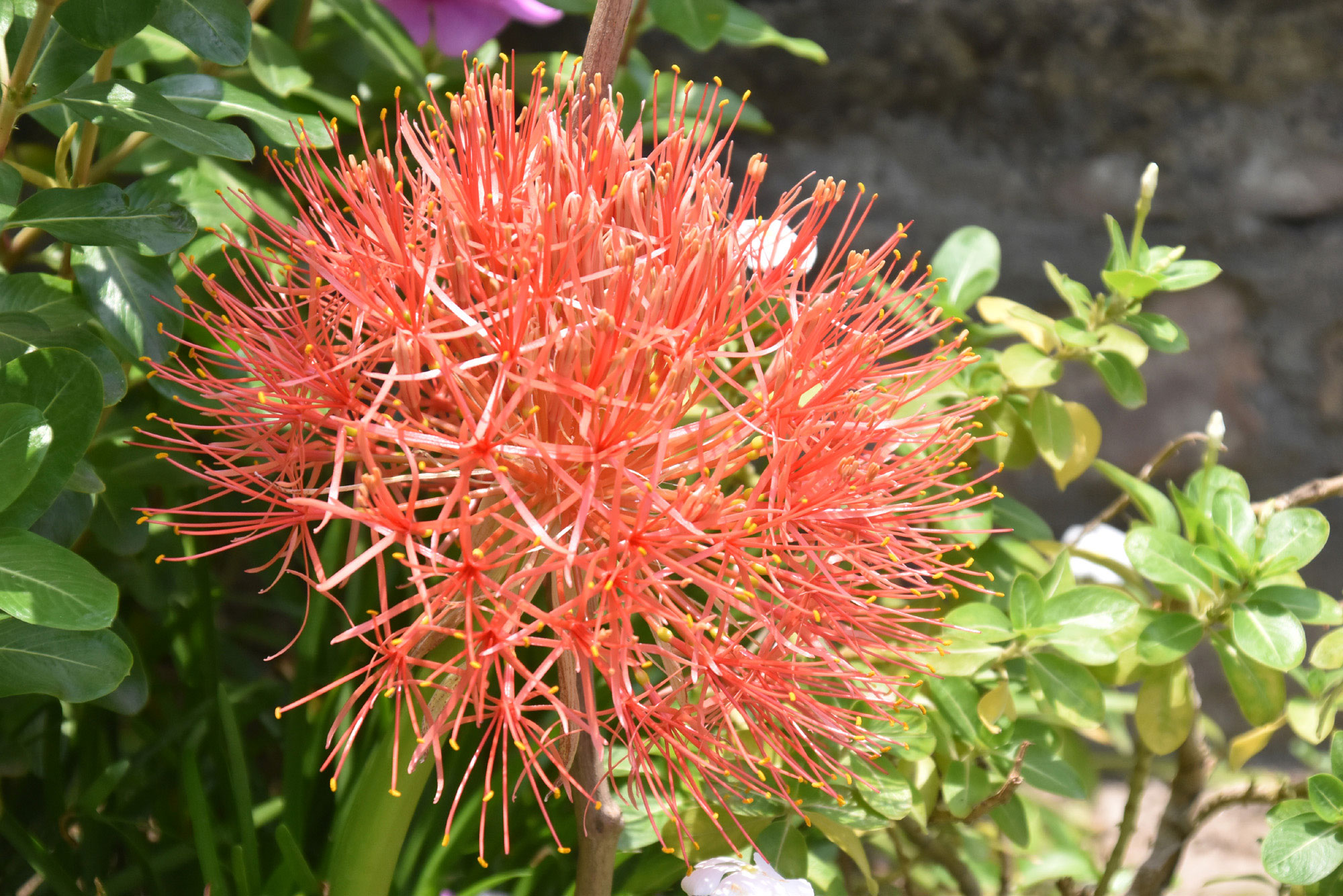 দিনের ছবি (১১ মে, ২০২৬)