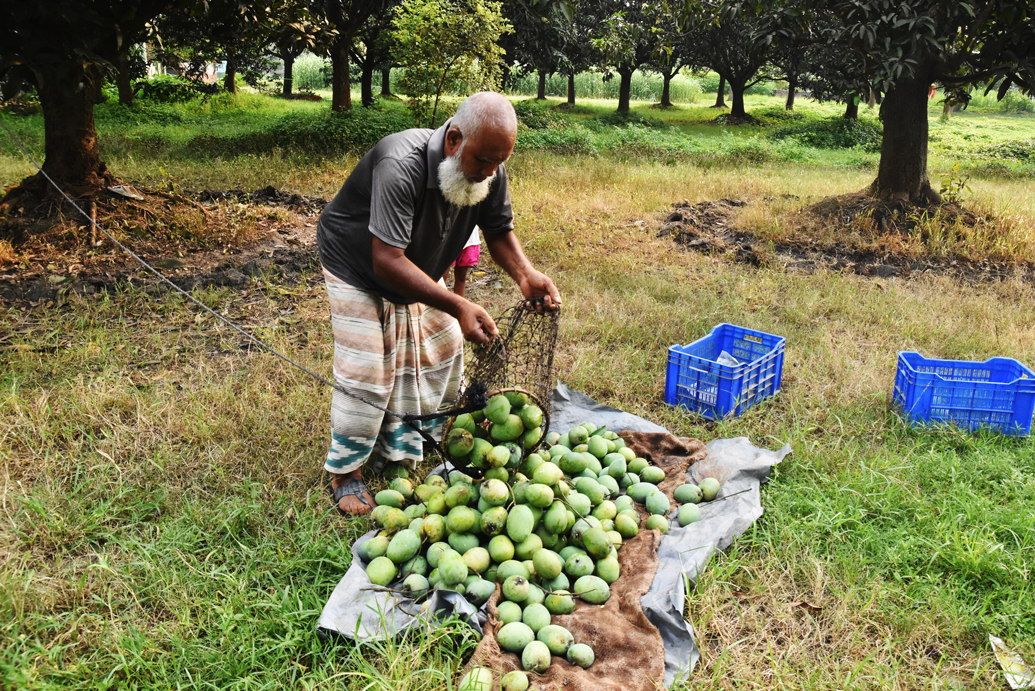 দিনের ছবি (২০ জুন, ২০২৬)