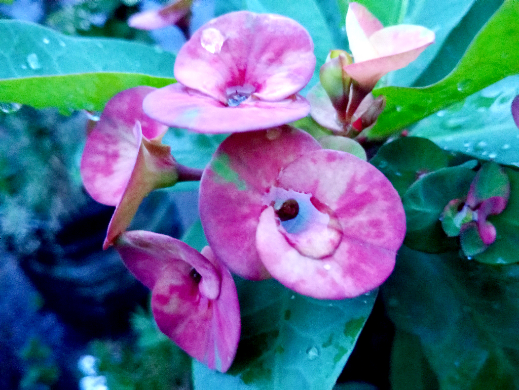 দিনের ছবি (২২ জুলাই, ২০২৬)