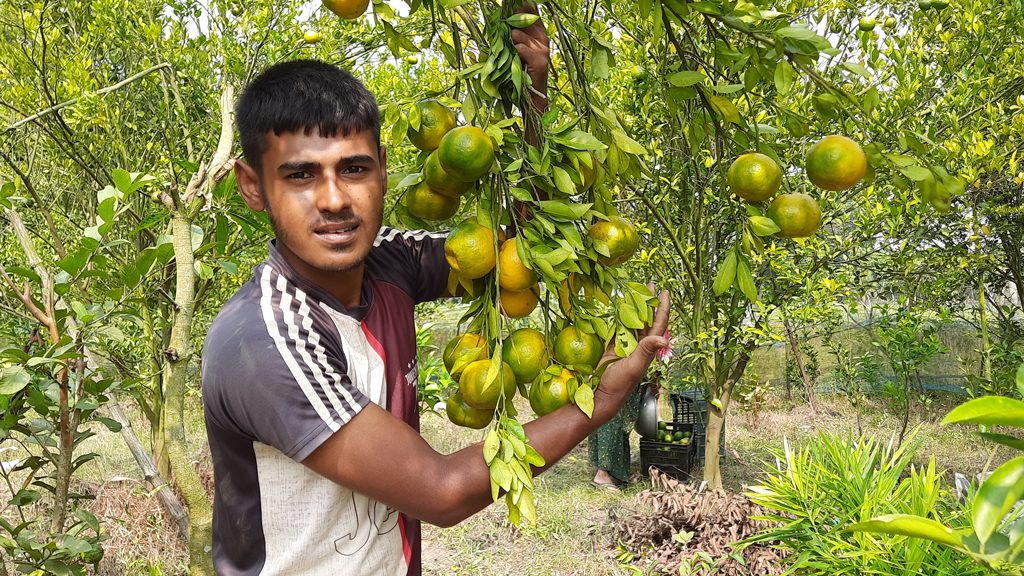 দিনের ছবি (১০ অক্টোবর ২০২৫)