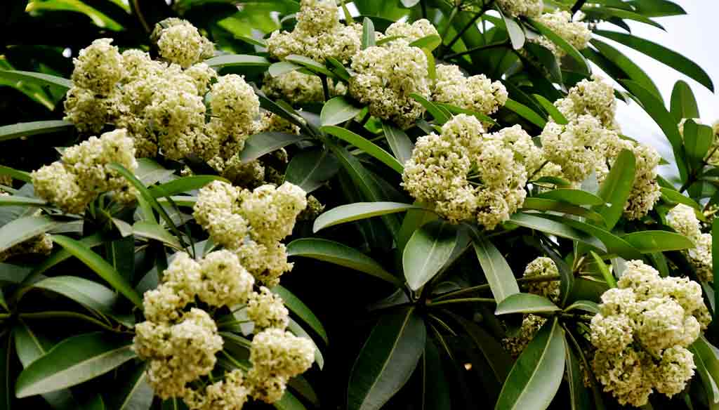 দিনের ছবি (২০ সেপ্টেম্বর, ২০২৬)