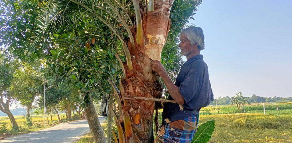 দিনের ছবি (০৪ ডিসেম্বর, ২০২৫)