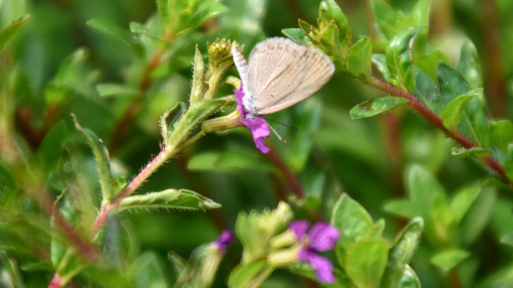 দিনের ছবি (৩০ অক্টোবর, ২০২৫)