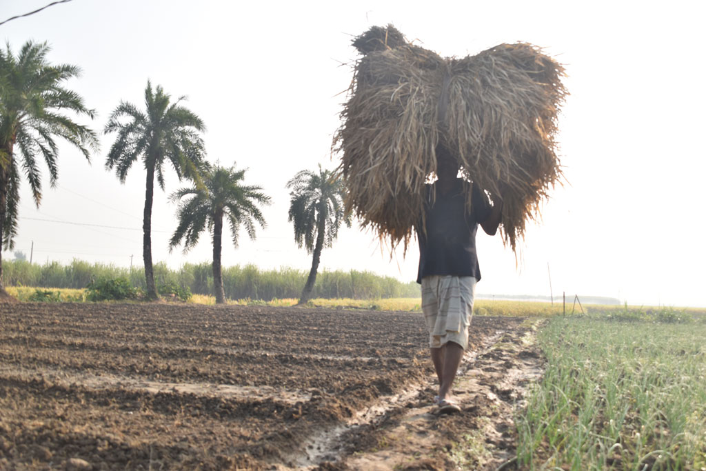 দিনের ছবি (১৪ নভেম্বর, ২০২৫)