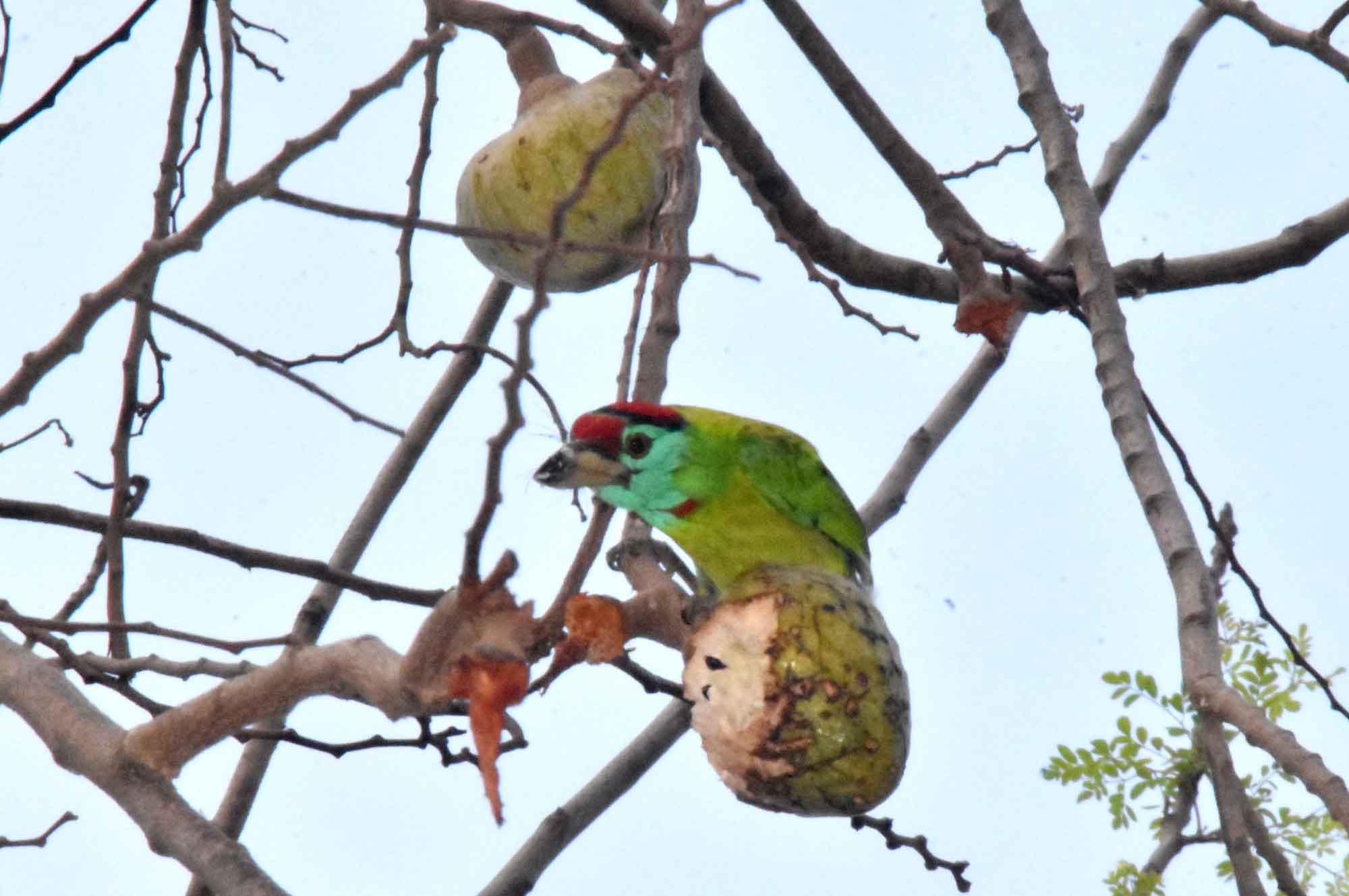 দিনের ছবি (৯ এপ্রিল, ২০২৬)