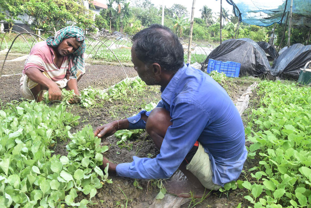 দিনের ছবি (২৮ সেপ্টেম্বর, ২০২৫)