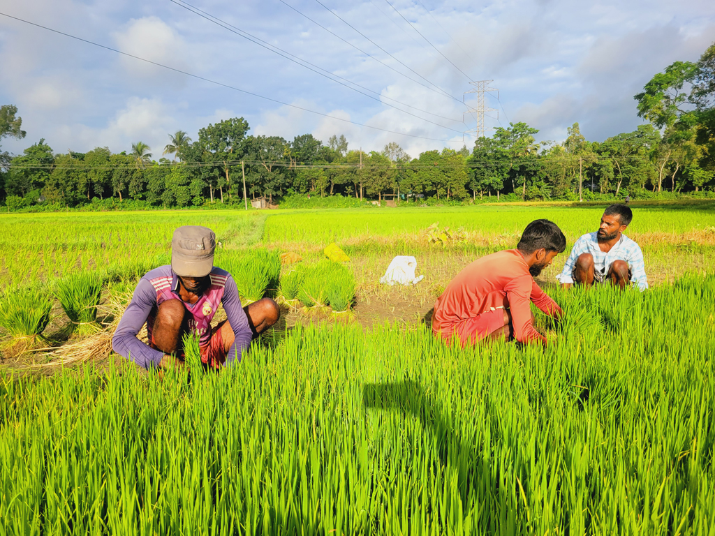 দিনের ছবি (১৪ আগস্ট, ২০২৬)