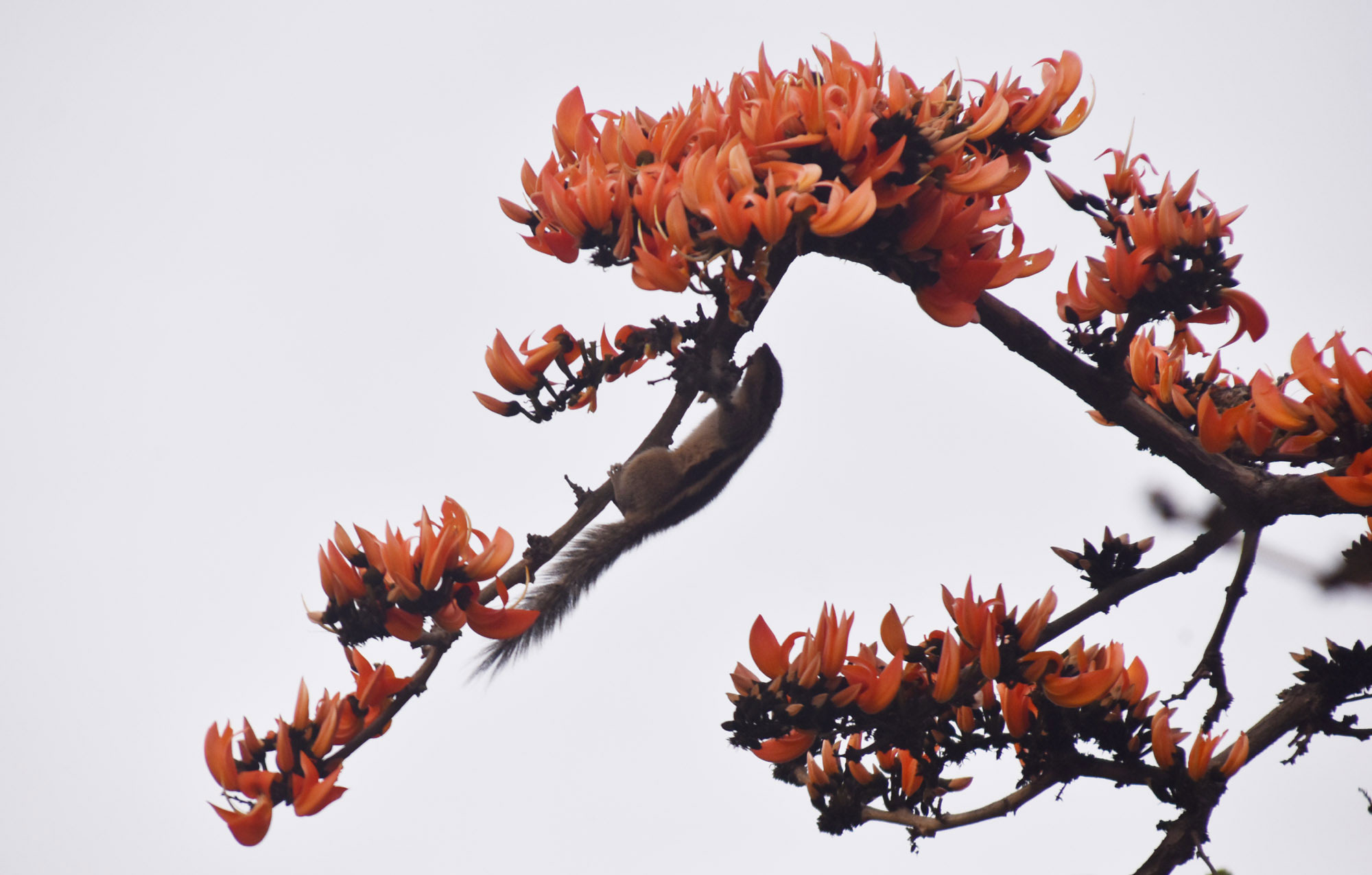 দিনের ছবি (০২ ফেব্রুয়ারি ২০২৬)