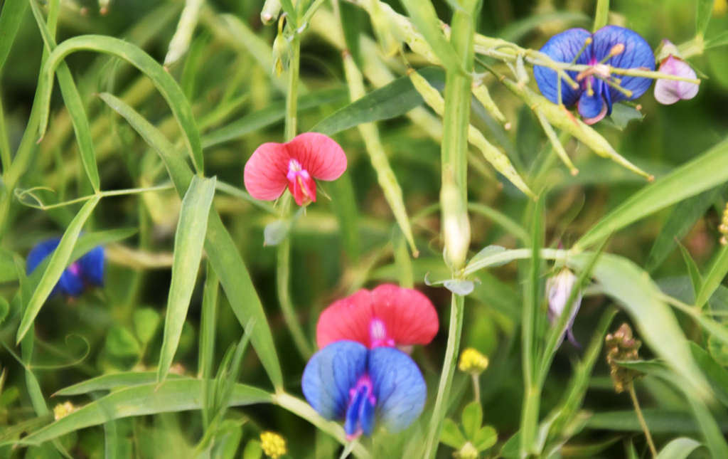 দিনের ছবি (০৪ মার্চ ২০২৬)