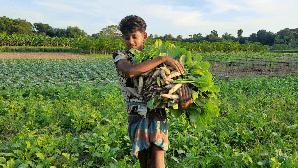 দিনের ছবি (২৫ সেপ্টেম্বর, ২০২৫)