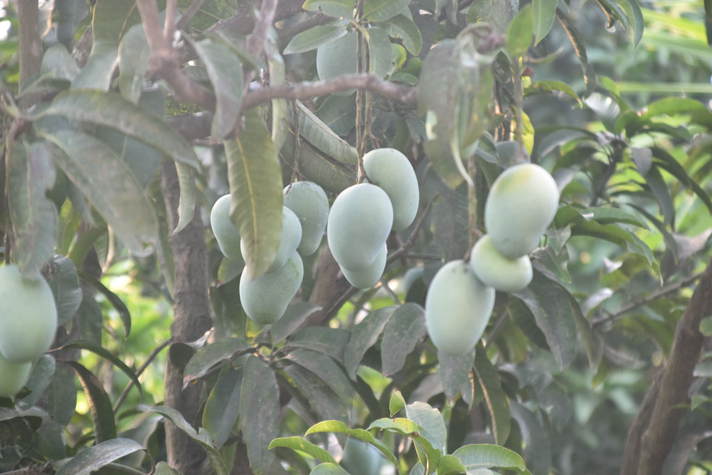 দিনের ছবি (২ জুন, ২০২৬)