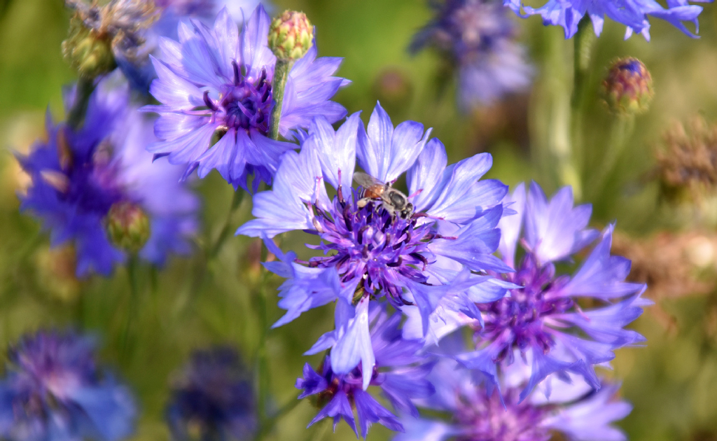 দিনের ছবি (১৮ ফেব্রুয়ারি, ২০২৬)