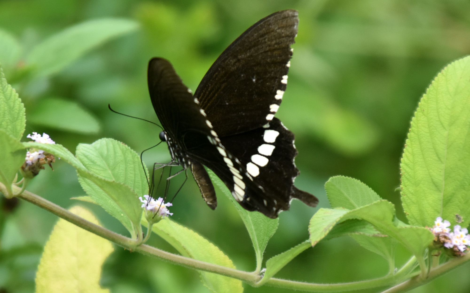 দিনের ছবি (১৬ জুলাই, ২০২৬)
